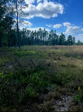 1108306 Oil Well Road Clermont FL 34714