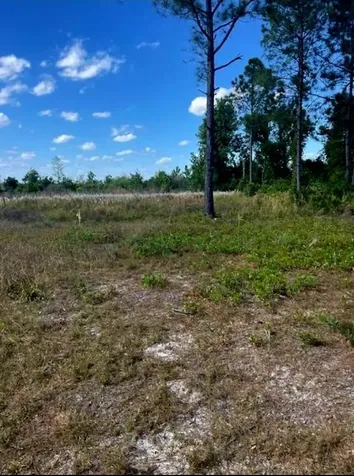 1108306 Oil Well Road Clermont FL 34714