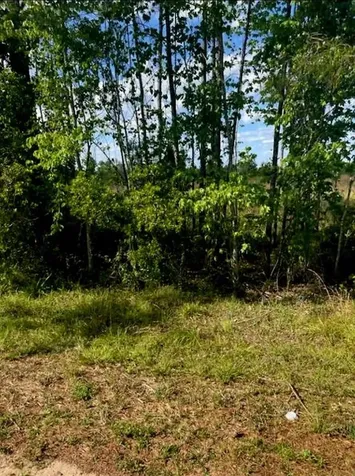 1108306 Oil Well Road Clermont FL 34714