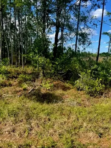 1108306 Oil Well Road Clermont FL 34714