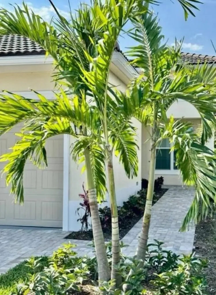 139 SE Via Bisento Port St Lucie FL 34952