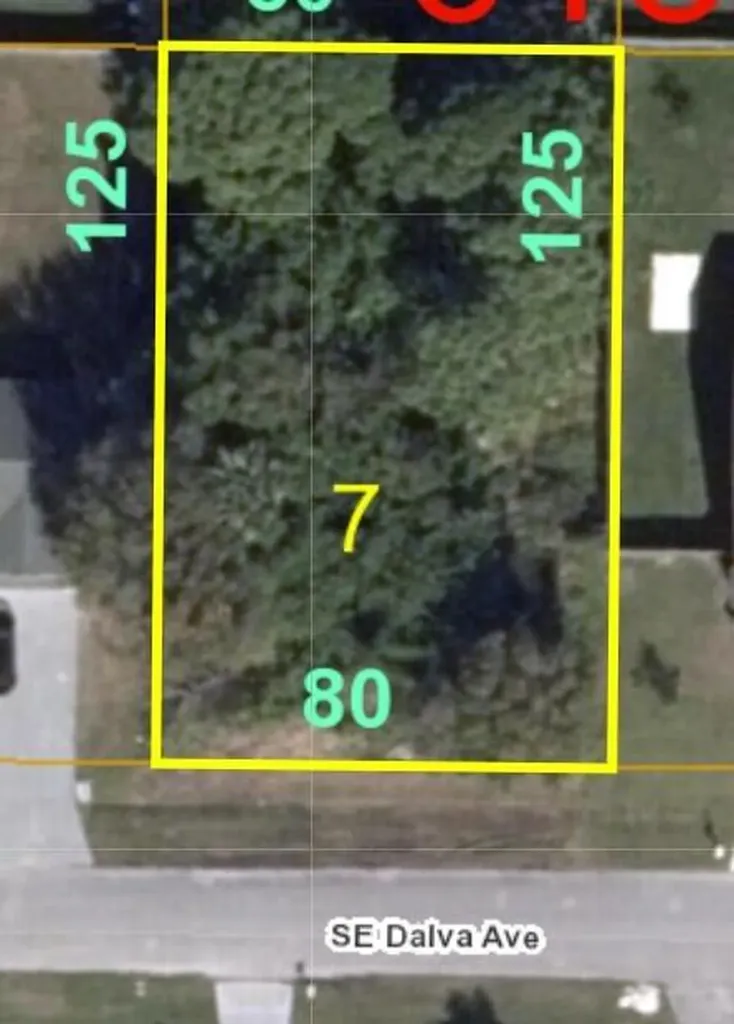 349 SE Dalva Avenue Port St Lucie FL 34984
