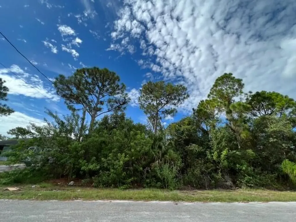 1874 SW Citadel Avenue Port St Lucie FL 34953