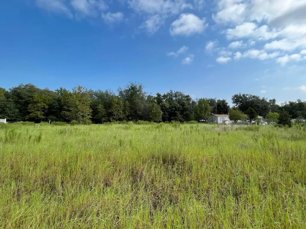 106 Puerto Rico Avenue Interlachen FL 32148