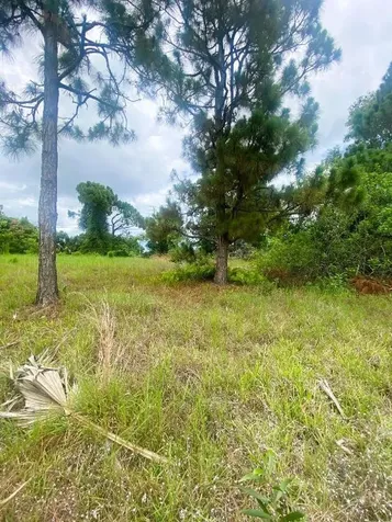 5959 NW Baynard Drive Port St Lucie FL 34986