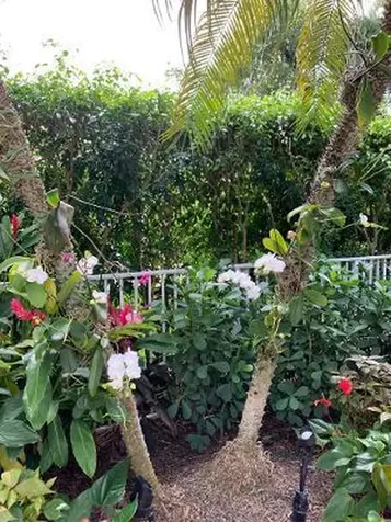 4148 NW Briarcliff Circle Boca Raton FL 33496