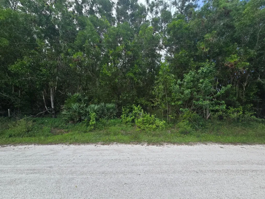 17665 46th Court N The Acreage FL 33470