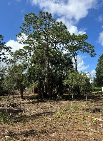 9125 106th Avenue Vero Beach FL 32967
