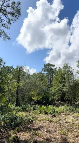 9125 106th Avenue Vero Beach FL 32967