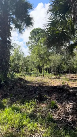 9125 106th Avenue Vero Beach FL 32967