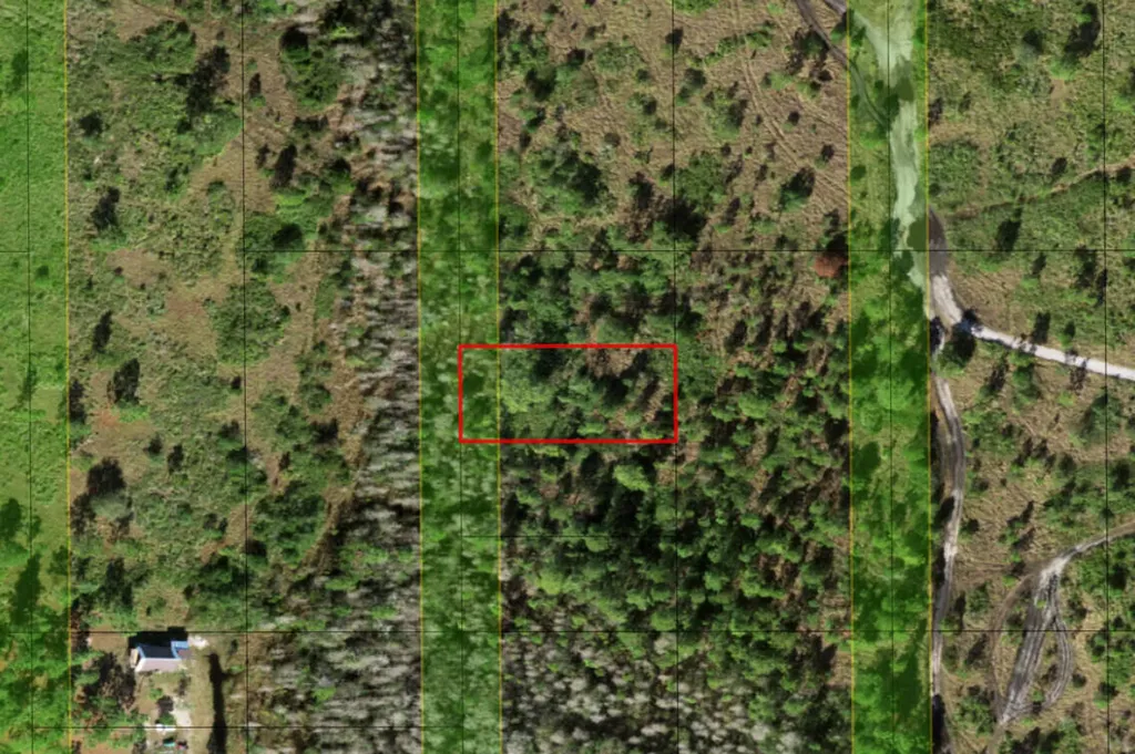 0 Holopaw Groves Road St. Cloud FL 34772