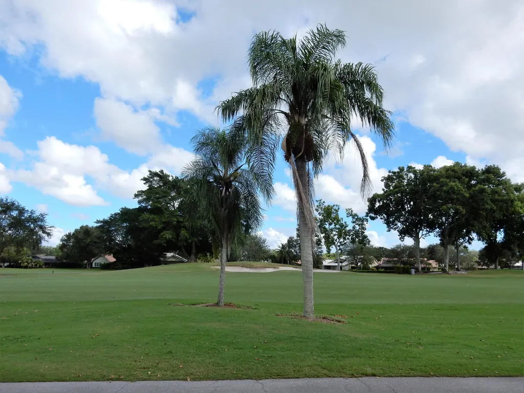 225 Old Meadow Way Palm Beach Gardens FL 33418