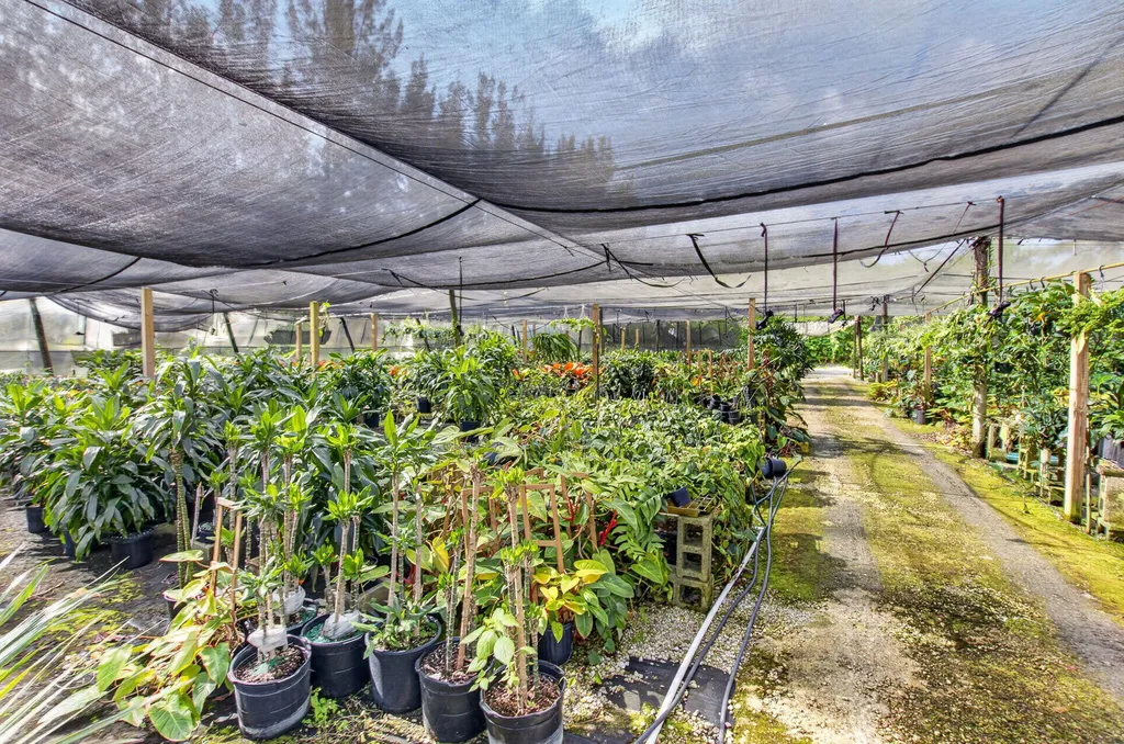 6700 Park Lane E Lake Worth FL 33449