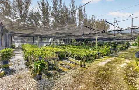 6700 Park Lane E Lake Worth FL 33449
