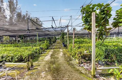 6700 Park Lane E Lake Worth FL 33449