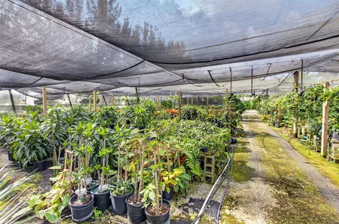 6700 Park Lane E Lake Worth FL 33449