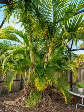 1433 Captains Walk Fort Pierce FL 34950