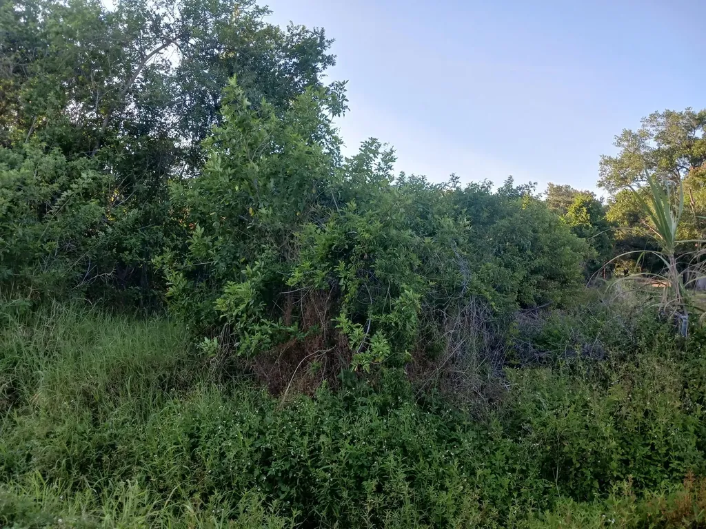 7025 NE 11th Lane Okeechobee FL 34974