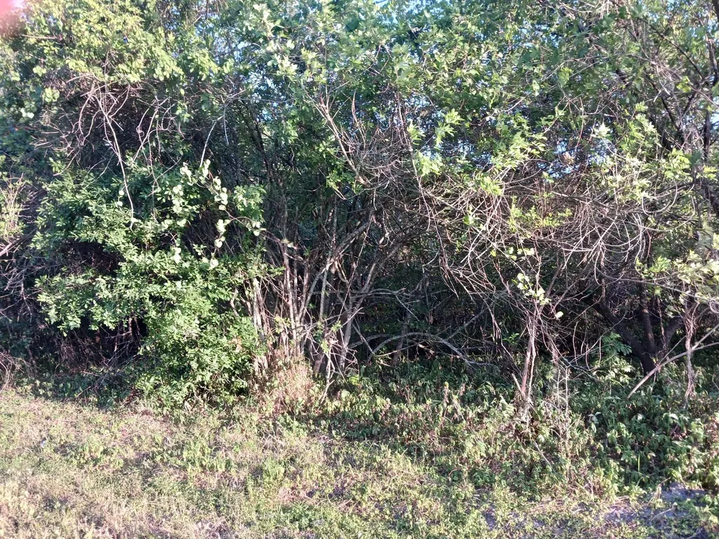 7025 NE 11th Lane Okeechobee FL 34974