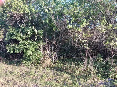 7025 NE 11th Lane Okeechobee FL 34974