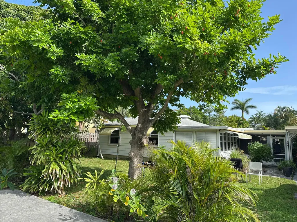 209 NE 5th Court Delray Beach FL 33444