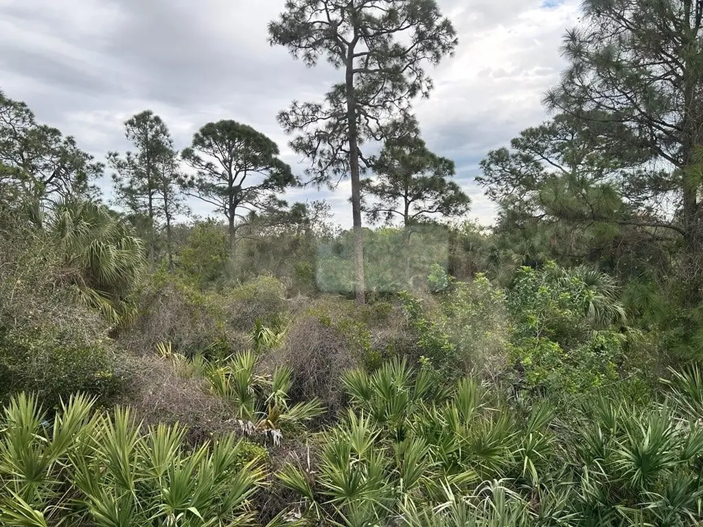 791 NE Trailside Run Port St Lucie FL 34983