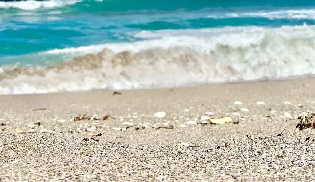 5400 N Ocean Drive SE Singer Island FL 33404