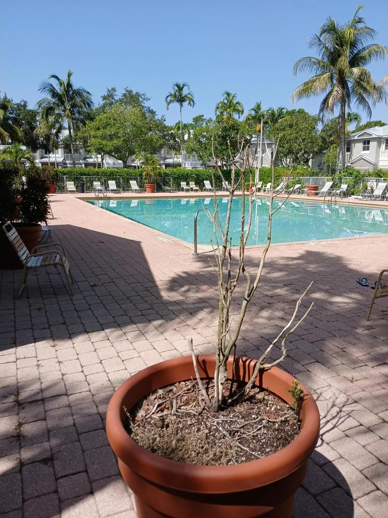 2127 Shoma Drive Royal Palm Beach FL 33414