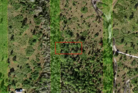 0 Holopaw Groves Road St. Cloud FL 34772