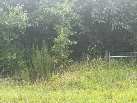 16687 NW 38th Avenue Okeechobee FL 34972