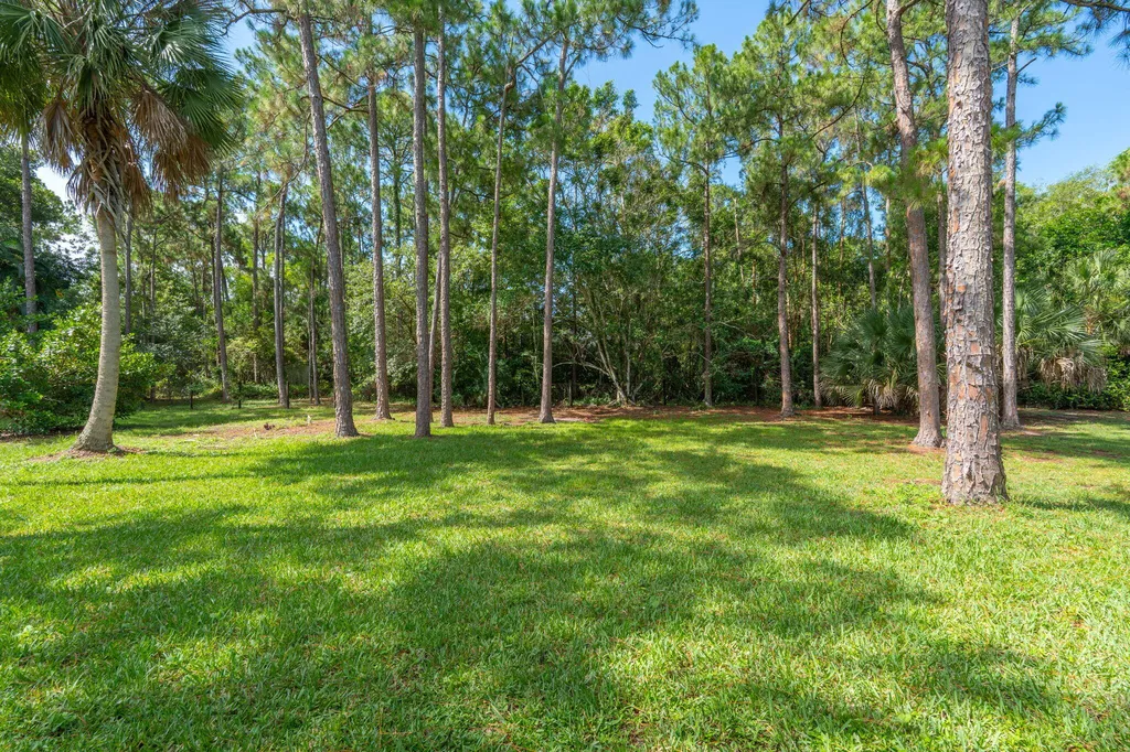 16628 Valencia Boulevard The Acreage FL 33470