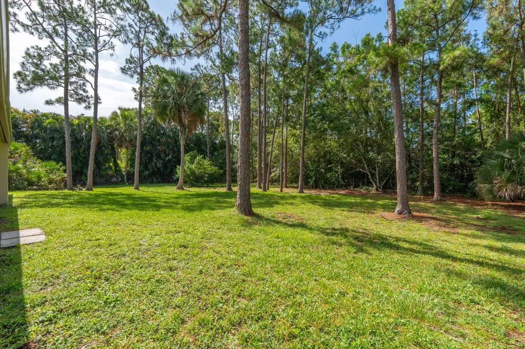 16628 Valencia Boulevard The Acreage FL 33470
