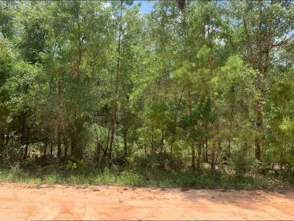 115 Florida Boulevard Satsuma FL 32189
