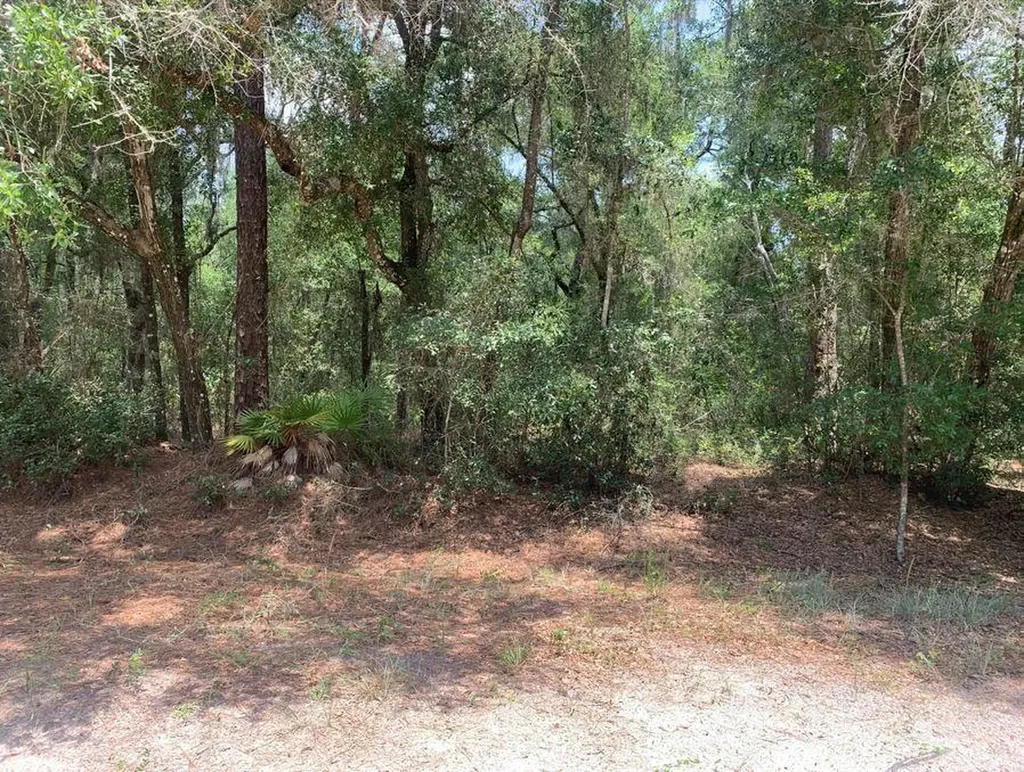 112 New Jersey Street Satsuma FL 32189
