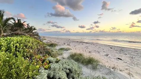 5500 Old Ocean Boulevard Ocean Ridge FL 33435