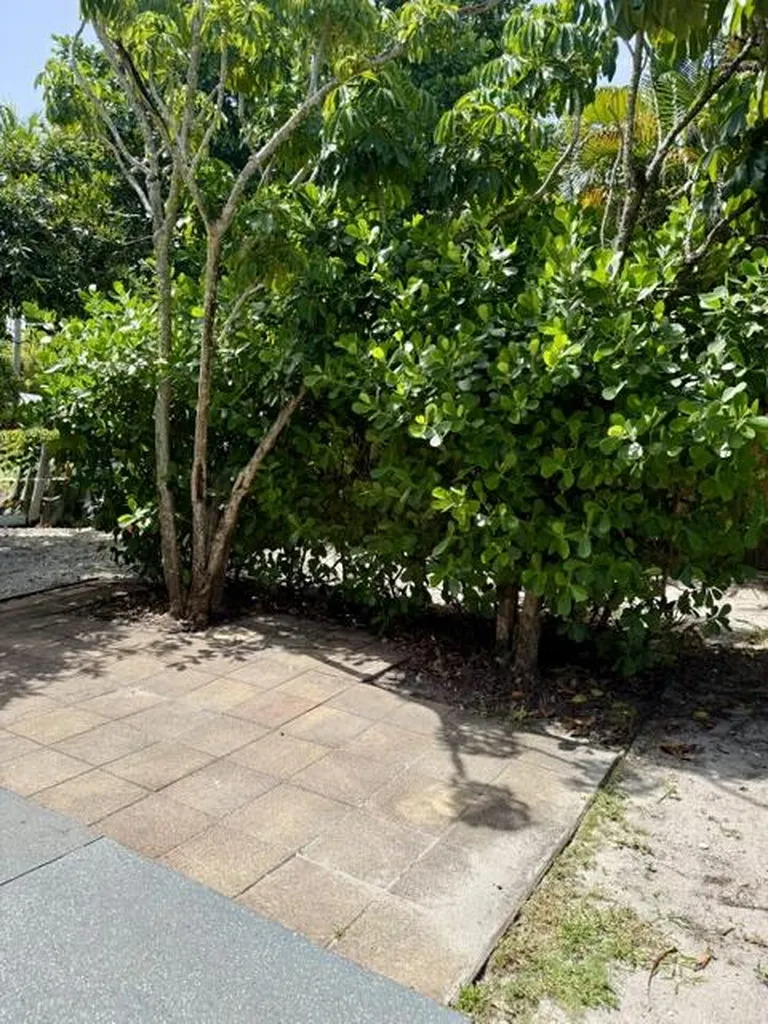 301 S M Street Lake Worth Beach FL 33460