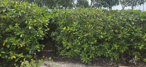 200 Waterway Road Tequesta FL 33469