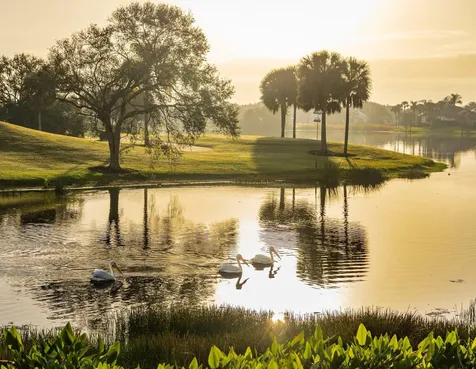 1726 Victoria Circle Vero Beach FL 32967
