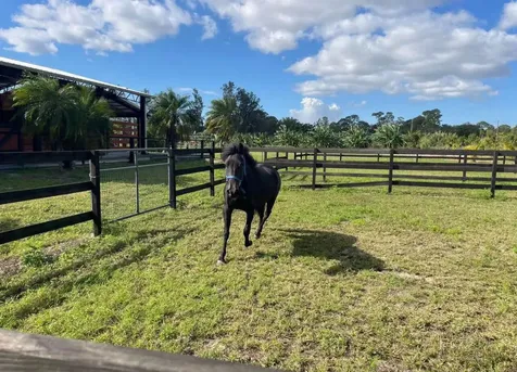 2220 N 162nd Drive Loxahatchee Groves FL 33470