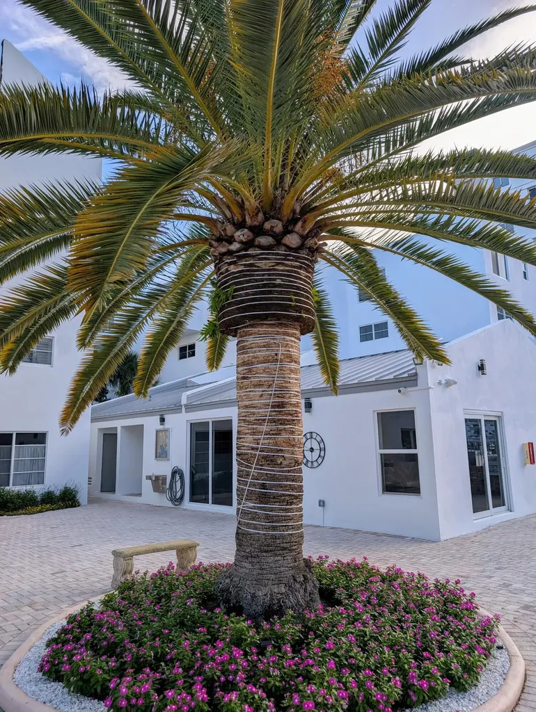 2860 NE 14th Street Causeway Pompano Beach FL 33062