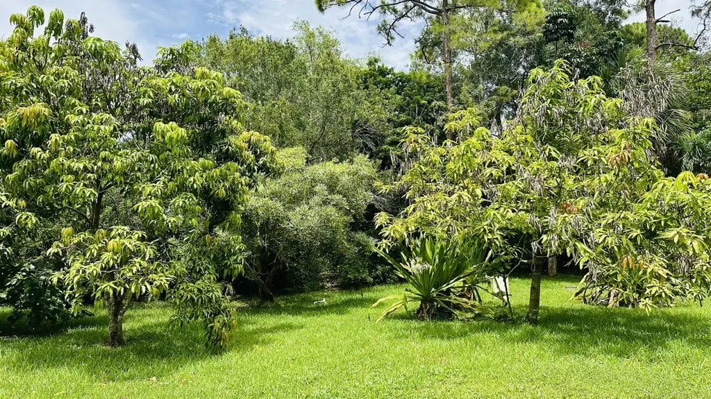 16611 68th Street N The Acreage FL 33470