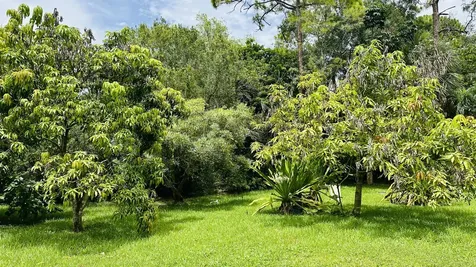 16611 68th Street N The Acreage FL 33470