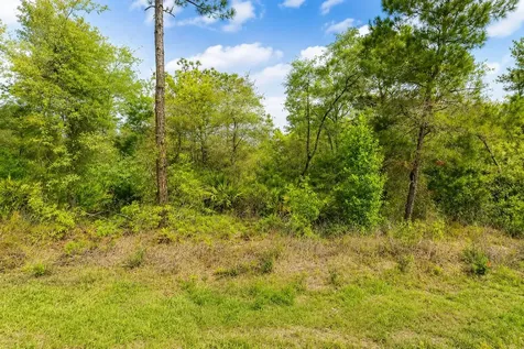 3075 W Bedford Lane Dunnellon FL 34433