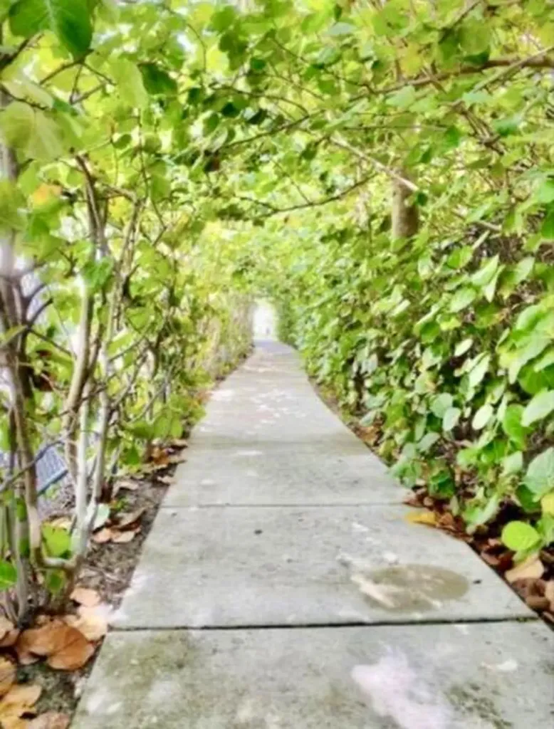 33 S Ocean Avenue Palm Beach Shores FL 33404
