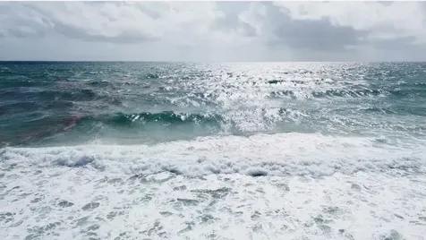 1043 Hillsboro Mile Hillsboro Beach FL 33062