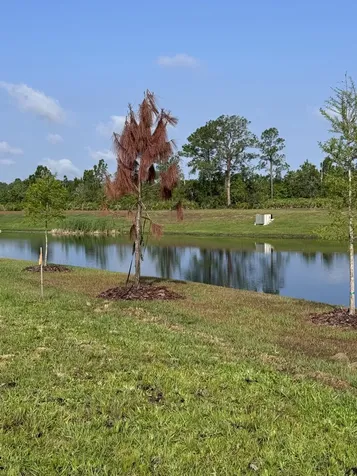3015 Sanctuary Drive Clermont FL 34714