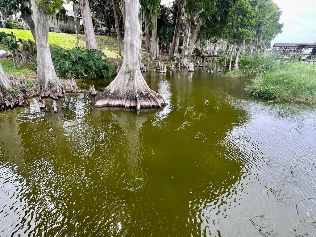 30139 Johnsons Point Road Leesburg FL 34748