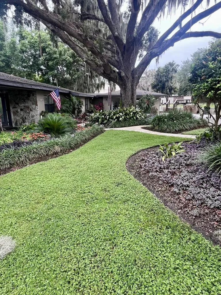 30139 Johnsons Point Road Leesburg FL 34748