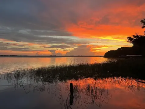 30139 Johnsons Point Road Leesburg FL 34748