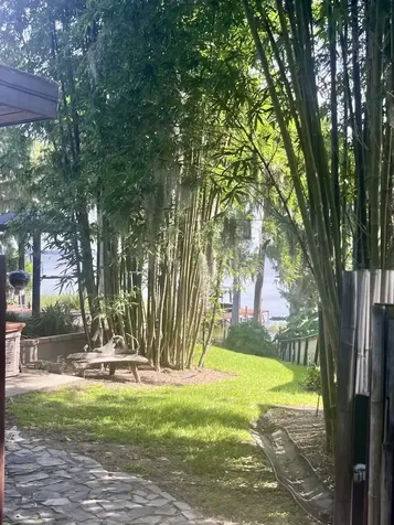 30139 Johnsons Point Road Leesburg FL 34748
